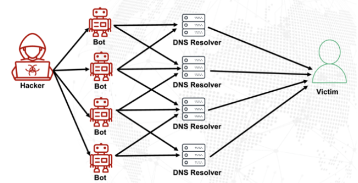 A DNS amplification attack, illustrated. It shows an attacker on the left, sending malicious commands to a number of bots to the immediate right, which then make spoofed DNS queries with the source address as the target's IP address.